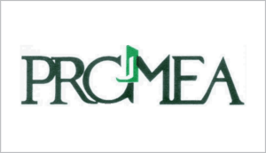 freens-web-img29